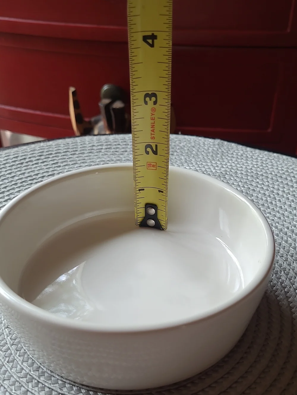 Rae Dunn Pet Dish